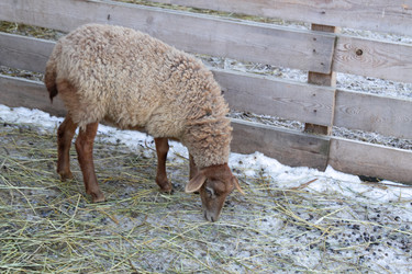 Similar image 22125411