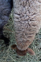 Similar image 22125412