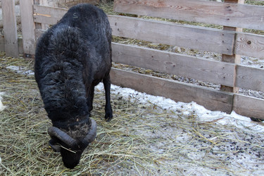 Similar image 22125413