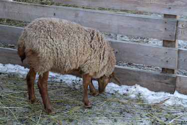 Similar image 22125415