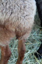 Similar image 22125481