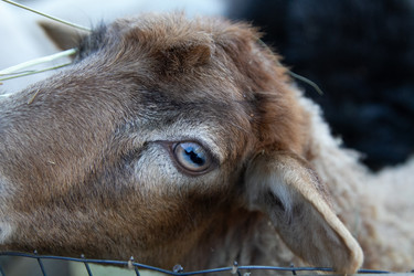 Similar image 22125483