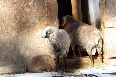 Similar image 22125484