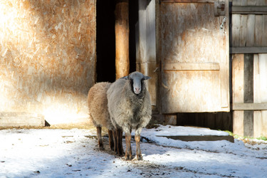 Similar image 22125486