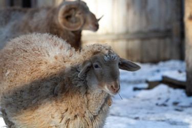 Similar image 22125487