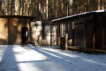 Similar image 22125489