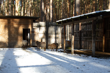 Similar image 22125490