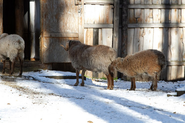 Similar image 22125491