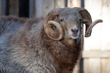 Similar image 22125492