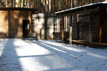 Similar image 22125494