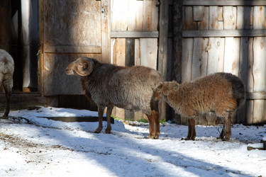 Similar image 22125252