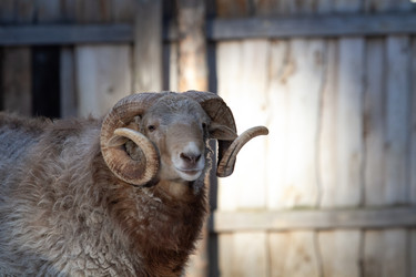 Similar image 22125253