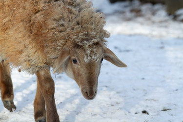 Similar image 22125254