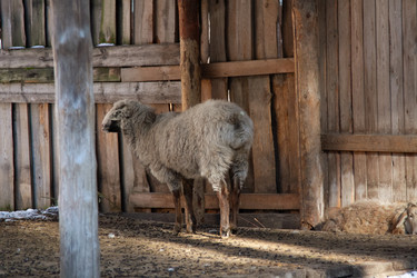 Similar image 22124957