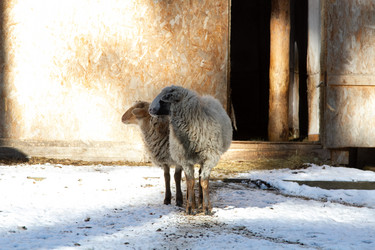 Similar image 22124958