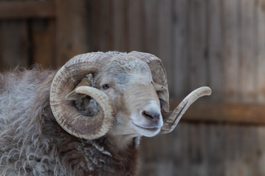 Similar image 22124996