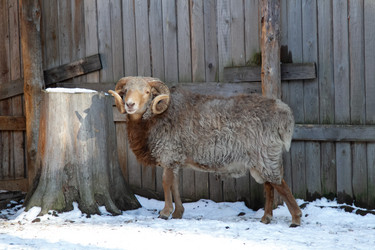 Similar image 22124997