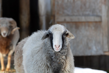 Similar image 22124998