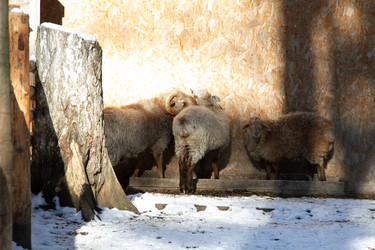 Similar image 22124999