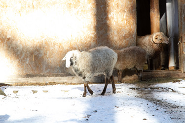 Similar image 22125000