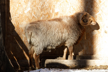 Similar image 22125001