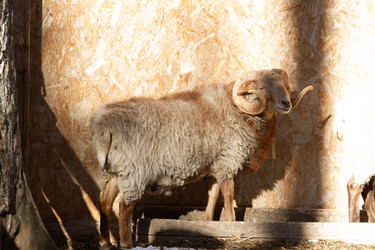 Similar image 22125003