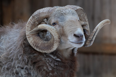 Similar image 22125077