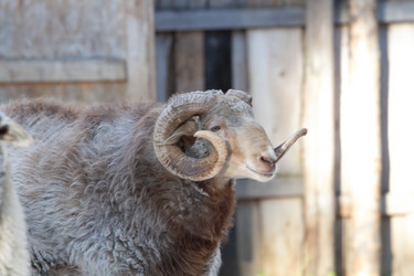 Similar image 22125078