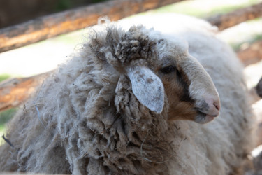 Similar image 22125163