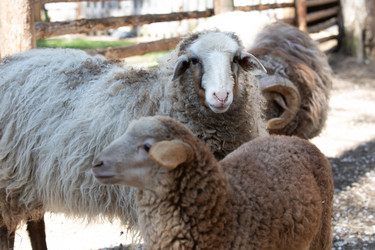 Similar image 22125495