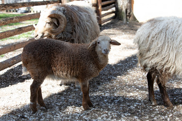 Similar image 22125496