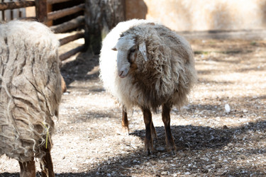 Similar image 22125497