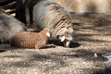 Similar image 22125498