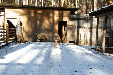 Similar image 22125580