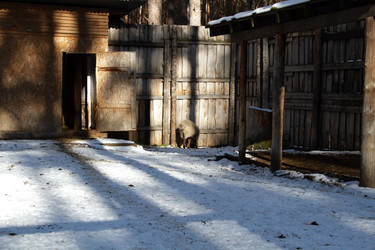 Similar image 22125582