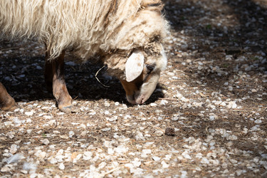 Similar image 22125583