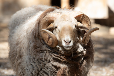 Similar image 22125584