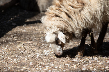 Similar image 22125585