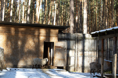 Similar image 22125586