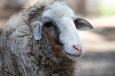 Similar image 22125587