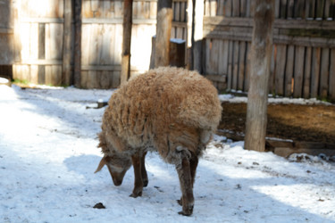 Similar image 22125588