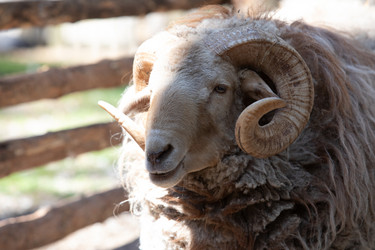 Similar image 22125589