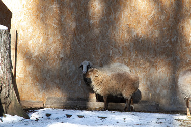 Similar image 22125591