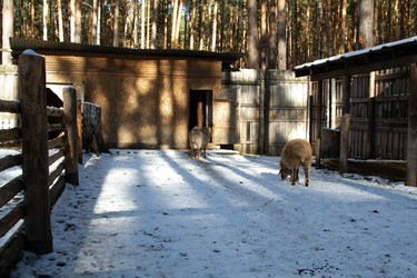 Similar image 22125592