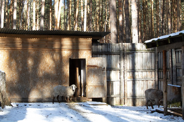 Similar image 22125595