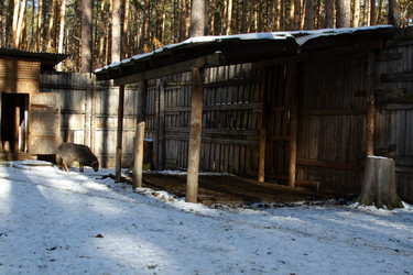 Similar image 22125599