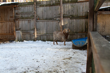 Similar image 22125638