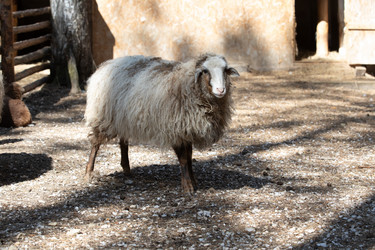 Similar image 22125639