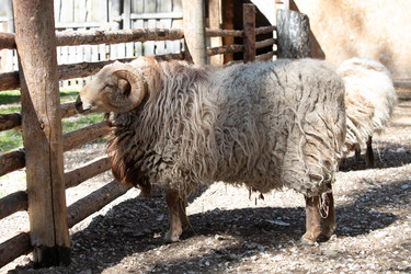 Similar image 22125640