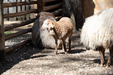 Similar image 22125641